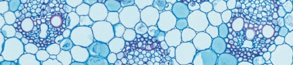 MicroBlue 3