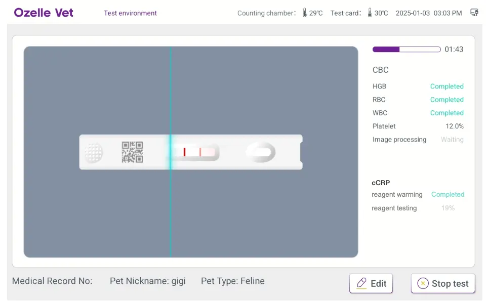 4. Process of Test.webp