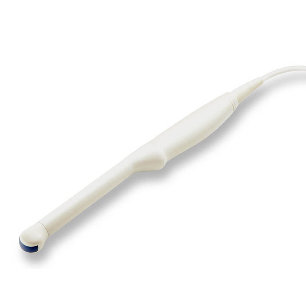 65EC10EB Veterinary Endocavity Convex Array Transducer