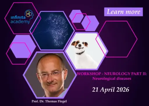  Neurology Part II: Neurological Diseases Diagnostics and Treatment