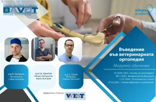 Въведение в ортопедията